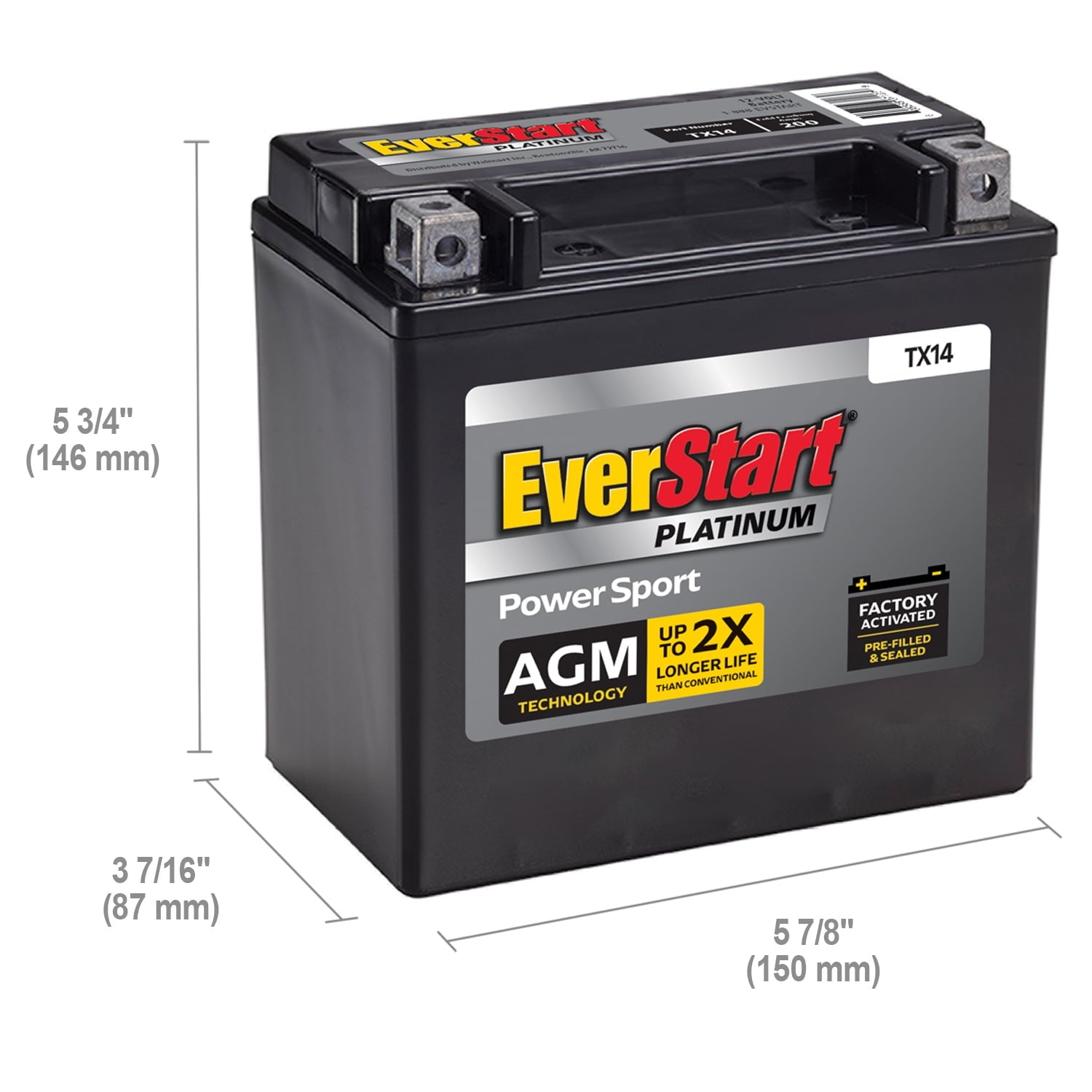 EverStart Platinum AGM Power Sport Battery, Group Size TX14 12 Volt, 200 CCA