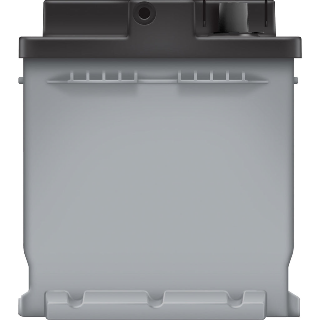 EverStart Platinum AGM Battery, Group Size H8